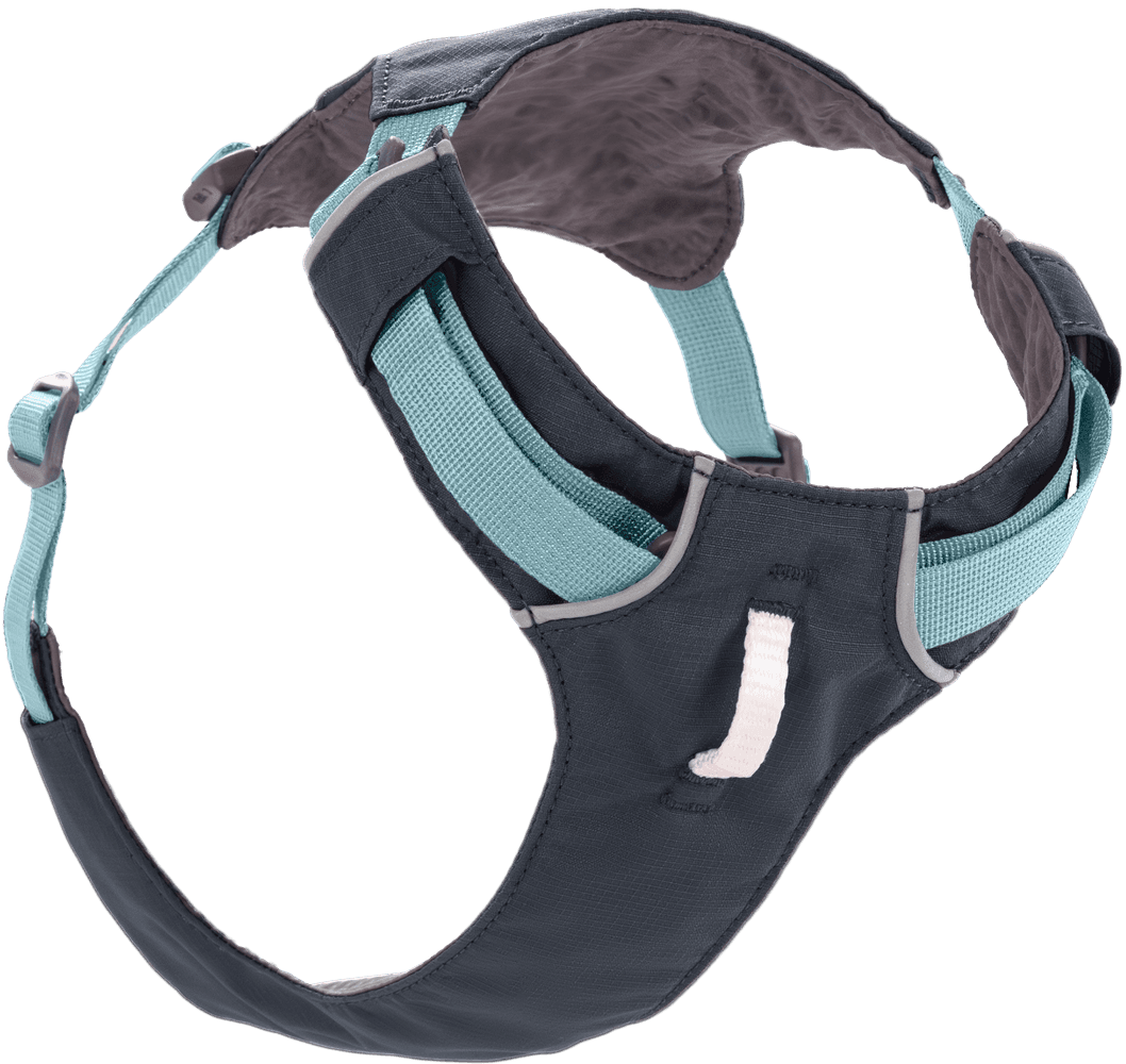 Basalt Gray