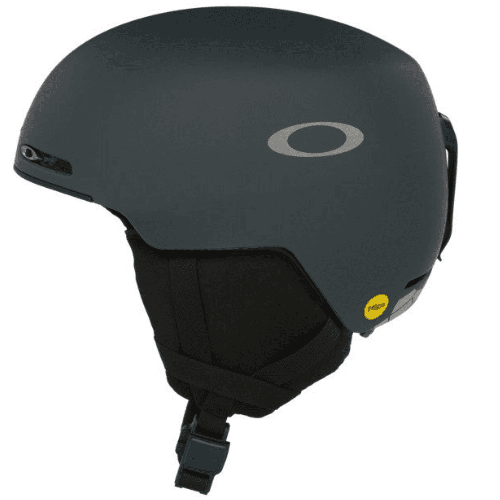 India Ink / Metallic Slvr